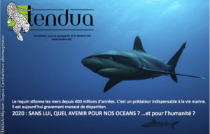TENDUA-requins-2020