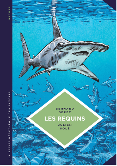 que faire en cas de rencontre avec un requin