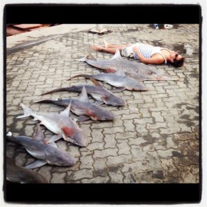 pêche aux requins à Oman - ©Jules Eurvin