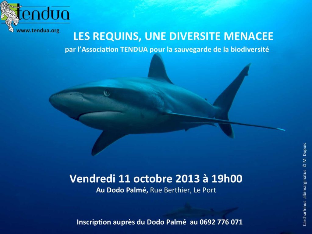 annonce conf du 111013 au Dodo