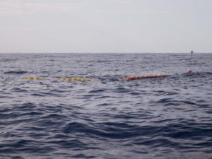 Dispositif de Concentration de Poissons à moins de 4 MN de la côte balnéaire, la Réunion