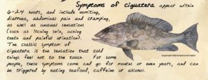 Ciguatera symptoms